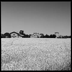 Giangiorgio lombardo. tracce